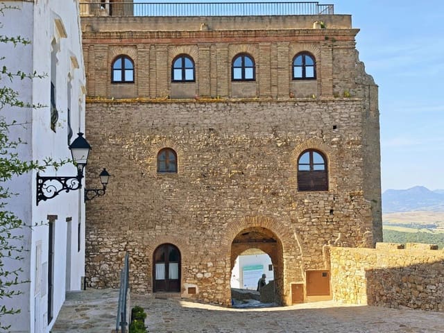 6 bedroom Commercial for sale in Castellar de la Frontera - € 800,000 (Ref: 9876470)
