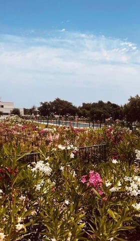 5 bedroom Apartment for sale in Sotogrande, San Roque with pool - € 985,000 (Ref: 9900375)