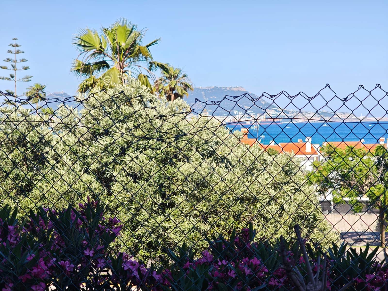 6 soveværelse Virksomhed til salg i Algeciras - € 395.000 (Ref: 9942554)