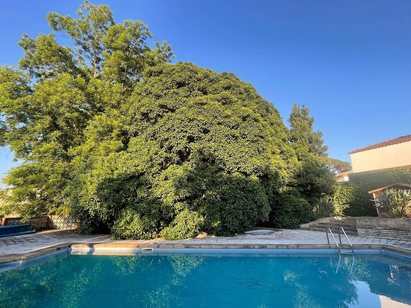 8 bedroom Villa for sale in Algeciras with pool - € 995,000 (Ref: 9942555)