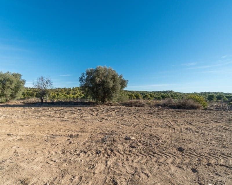 3 bedroom Villa for sale in Pilar de la Horadada - € 645,000 (Ref: 8732169)