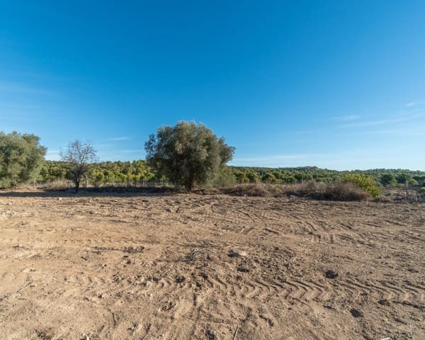 3 Zimmer Villa zu verkaufen in Pinar de Campoverde, Pilar de la Horadada - 645.000 € (Ref: 8732169)