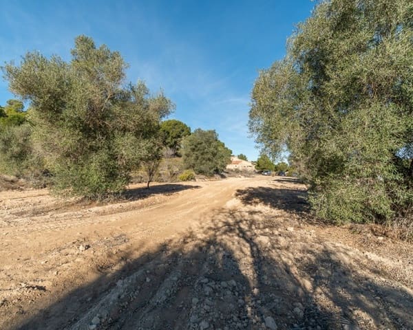 3 Zimmer Villa zu verkaufen in Pinar de Campoverde, Pilar de la Horadada - 645.000 € (Ref: 8732169)