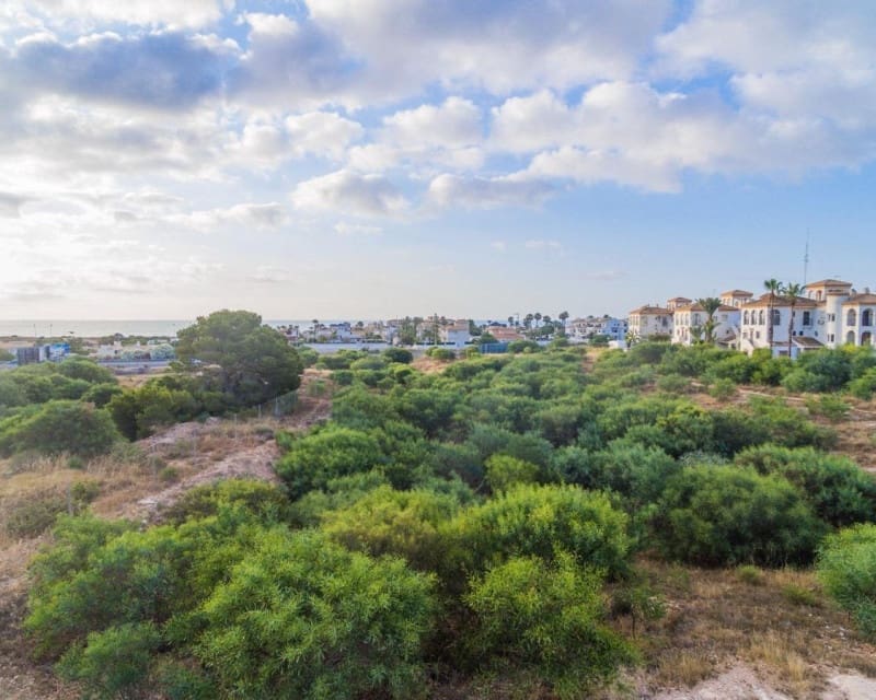2 soverom Leilighet til salgs i Playa Flamenca med svømmebasseng - € 338 000 (Ref: 8732198)