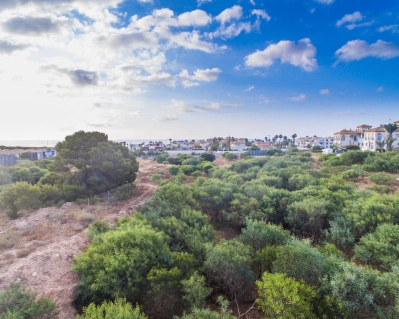 2 soverom Leilighet til salgs i Playa Flamenca med svømmebasseng - € 338 000 (Ref: 8732198)