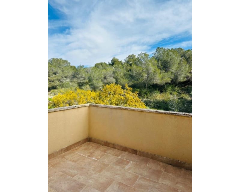 4 soveværelse Villa til salg i Pinar de Campoverde med swimmingpool garage - € 399.000 (Ref: 9597292)