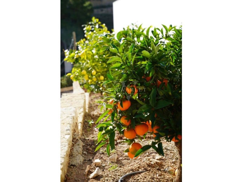 4 sypialnia Willa na sprzedaż w Javea / Xabia z basenem - 1 850 000 € (Ref: 7361572)