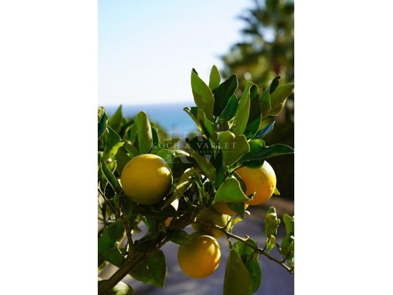 4 sypialnia Willa na sprzedaż w Javea / Xabia z basenem - 1 850 000 € (Ref: 7361572)