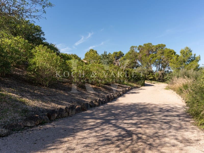 5 soveværelse Finca/Landehus til salg i Manacor med swimmingpool garage - € 3.000.000 (Ref: 7866378)