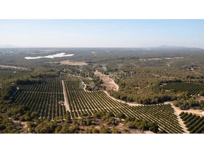 15 makuuhuone Maalaistalo myytävänä paikassa Torrevieja mukana uima-altaan 
autotalli - 15 000 000 € (Ref: 8134169)