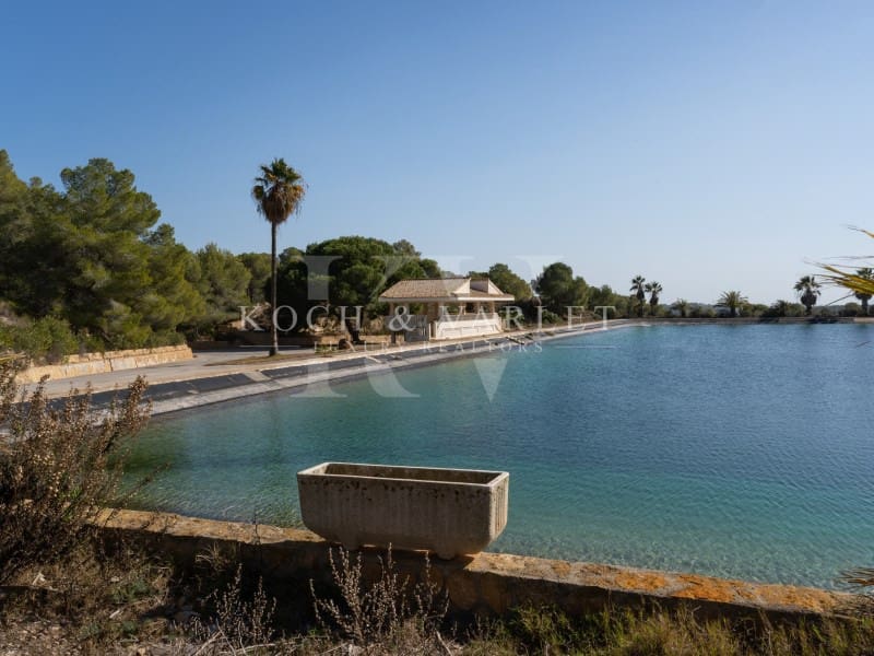 15 makuuhuone Maalaistalo myytävänä paikassa Torrevieja mukana uima-altaan 
autotalli - 15 000 000 € (Ref: 8134169)