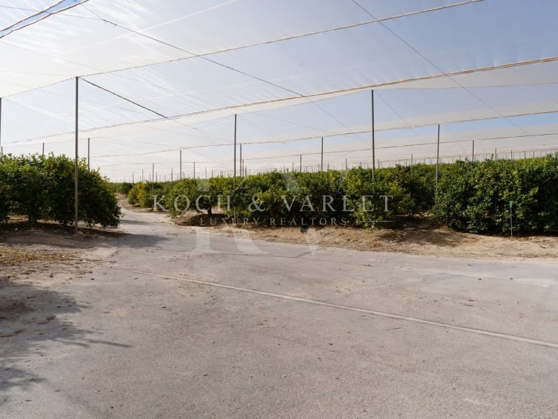 15 makuuhuone Maalaistalo myytävänä paikassa Torrevieja mukana uima-altaan 
autotalli - 15 000 000 € (Ref: 8134169)