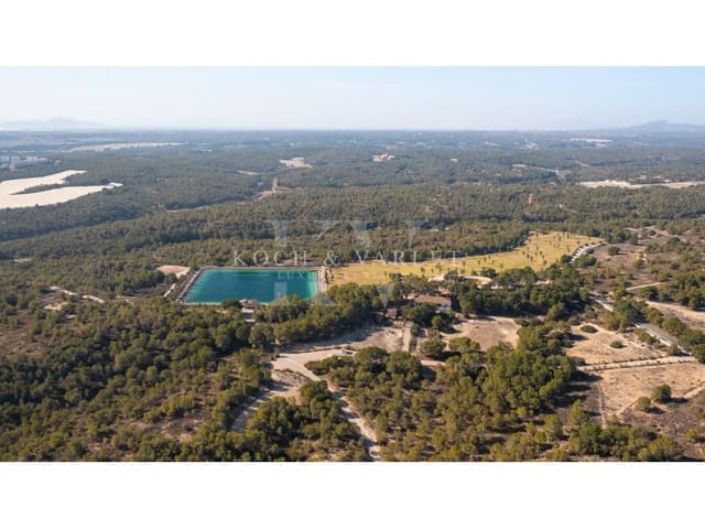 15 bedroom Finca/Country House for sale in Centro - Muelle Pesquero, Torrevieja with pool garage - € 15,000,000 (Ref: 8134169)