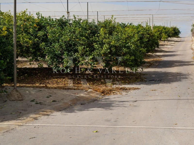 15 makuuhuone Maalaistalo myytävänä paikassa Torrevieja mukana uima-altaan 
autotalli - 15 000 000 € (Ref: 8134169)