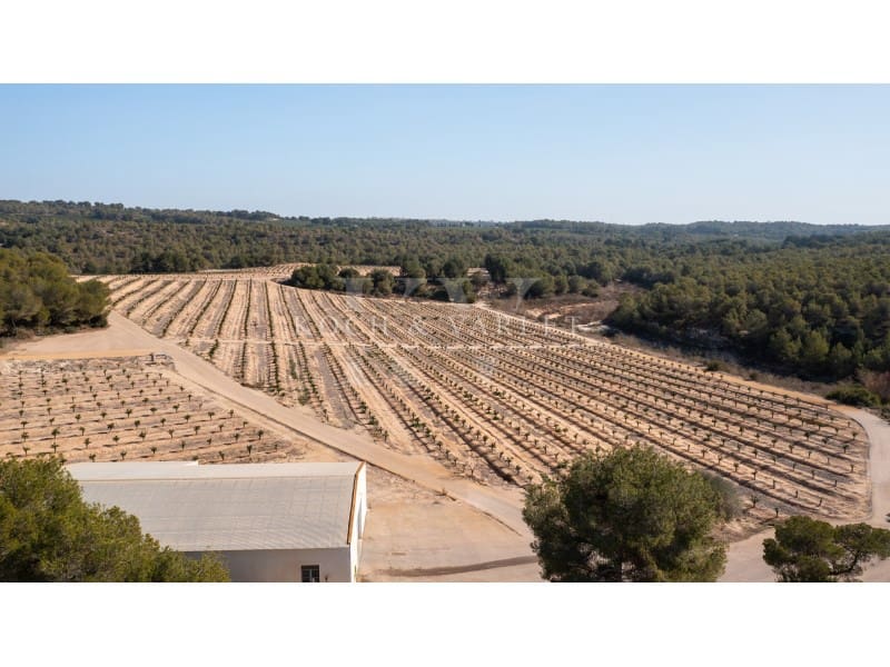 15 makuuhuone Maalaistalo myytävänä paikassa Torrevieja mukana uima-altaan 
autotalli - 15 000 000 € (Ref: 8134169)