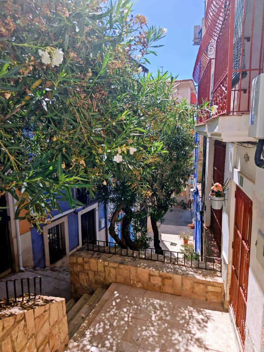 3 makuuhuone Kattohuoneisto myytävänä paikassa Alicante kaupunki - 360 000 € (Ref: 9236912)