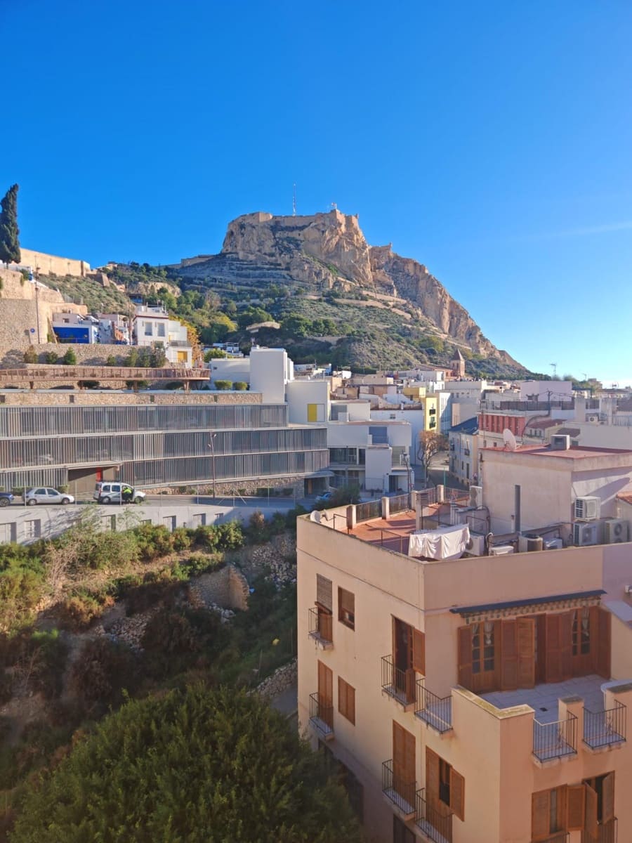 1 bedroom Flat for rent in Alicante / Alacant city - € 1,200 (Ref: 9494076)