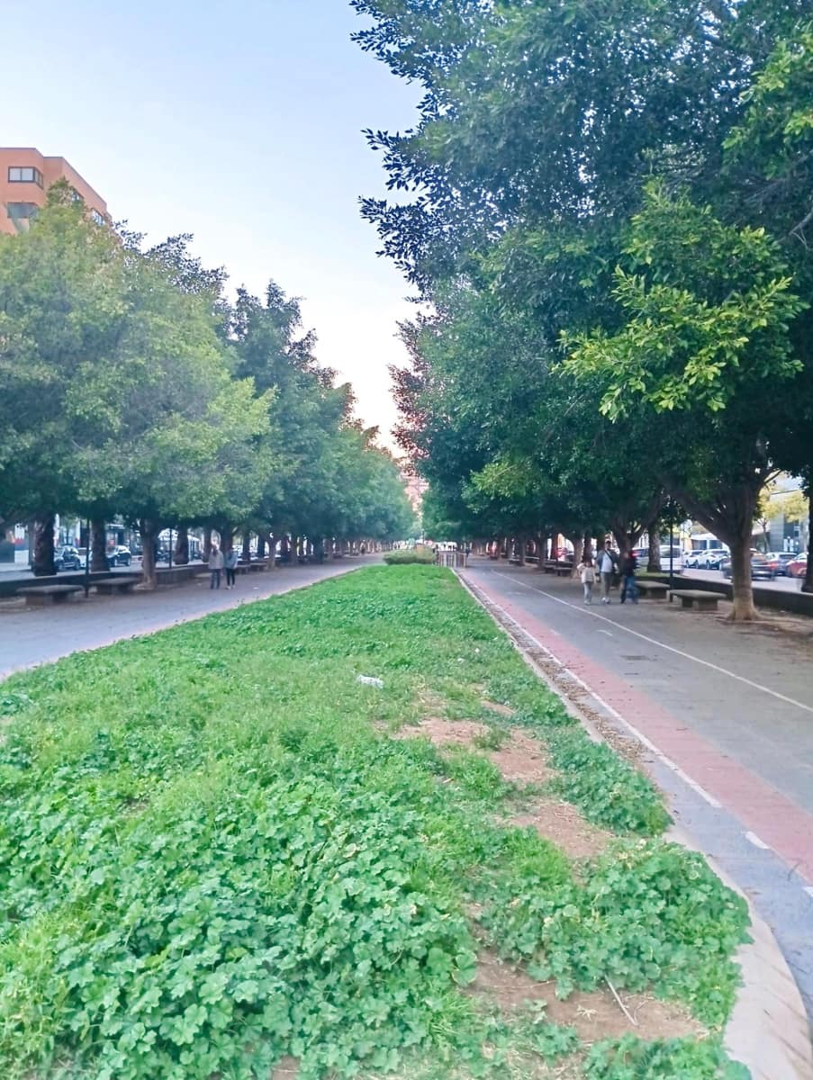 4 soverom Leilighet til salgs i Alicante by med svømmebasseng garasje - € 480 000 (Ref: 9634311)