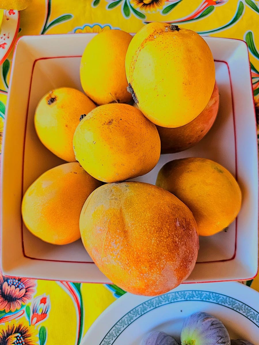 2 bedroom Finca/Country House for sale in La Aldea de San Nicolas with garage - € 900,000 (Ref: 9447146)