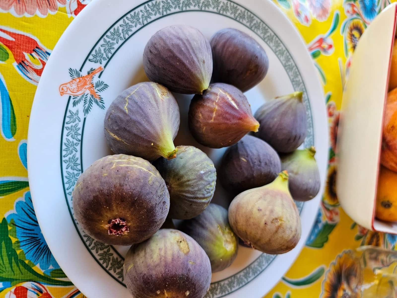 2 bedroom Finca/Country House for sale in La Aldea de San Nicolas with garage - € 900,000 (Ref: 9447146)