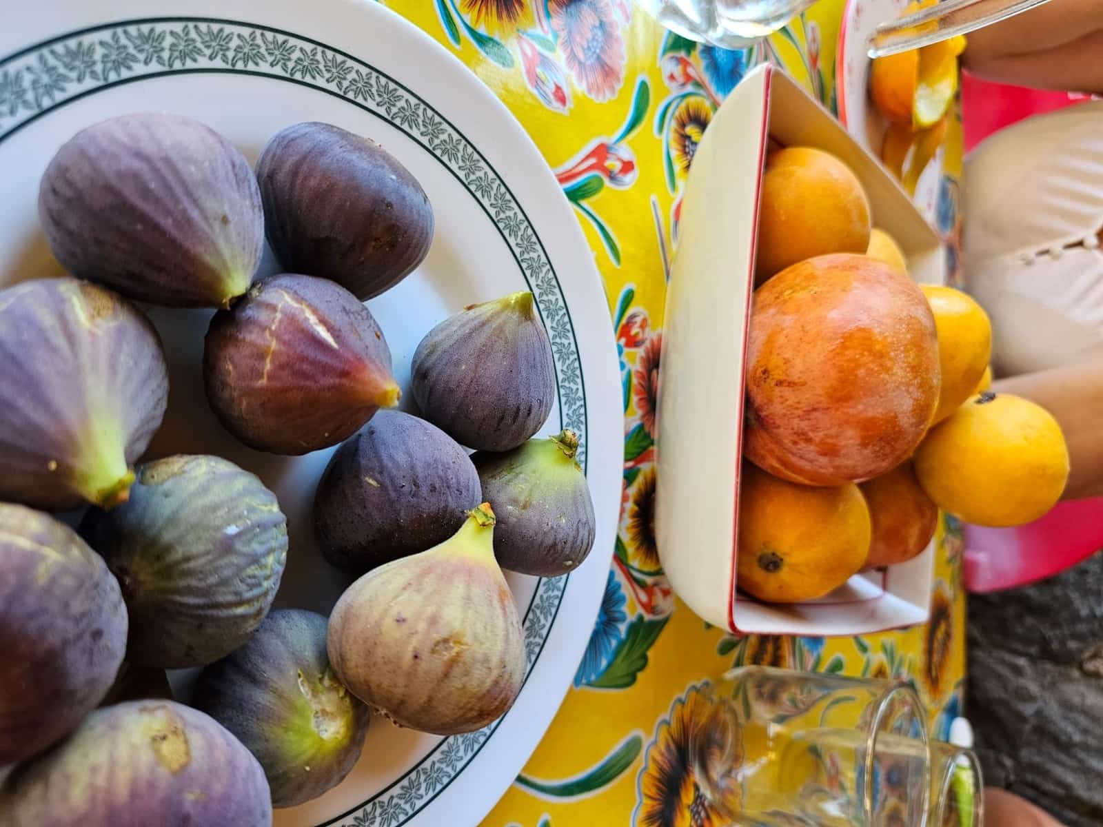 2 bedroom Finca/Country House for sale in La Aldea de San Nicolas with garage - € 900,000 (Ref: 9447146)