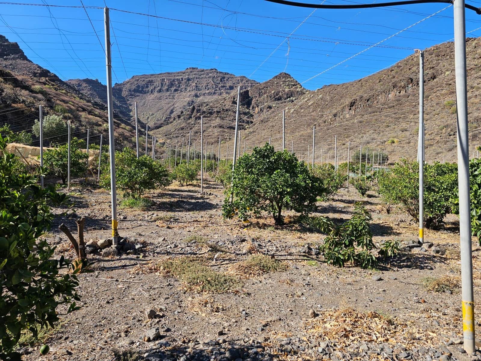 2 bedroom Finca/Country House for sale in La Aldea de San Nicolas with garage - € 900,000 (Ref: 9447146)