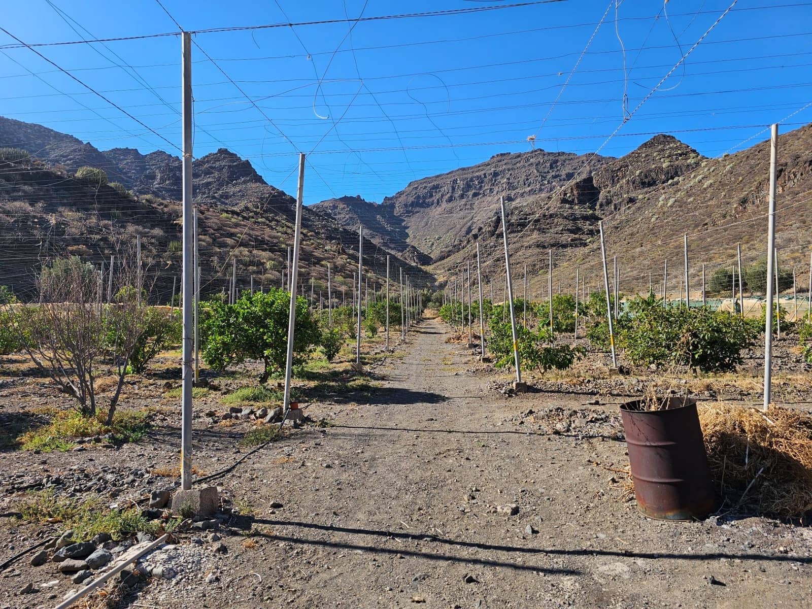 2 bedroom Finca/Country House for sale in La Aldea de San Nicolas with garage - € 900,000 (Ref: 9447146)