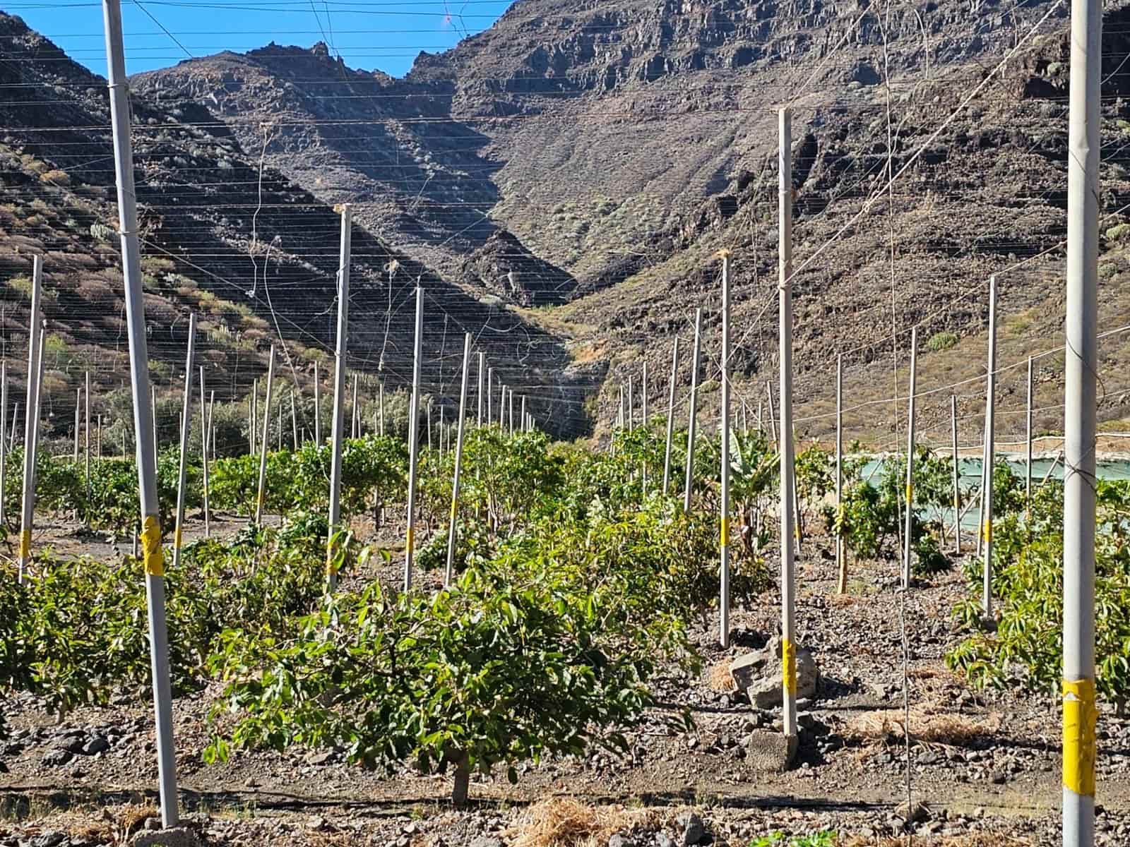 2 bedroom Finca/Country House for sale in La Aldea de San Nicolas with garage - € 900,000 (Ref: 9447146)