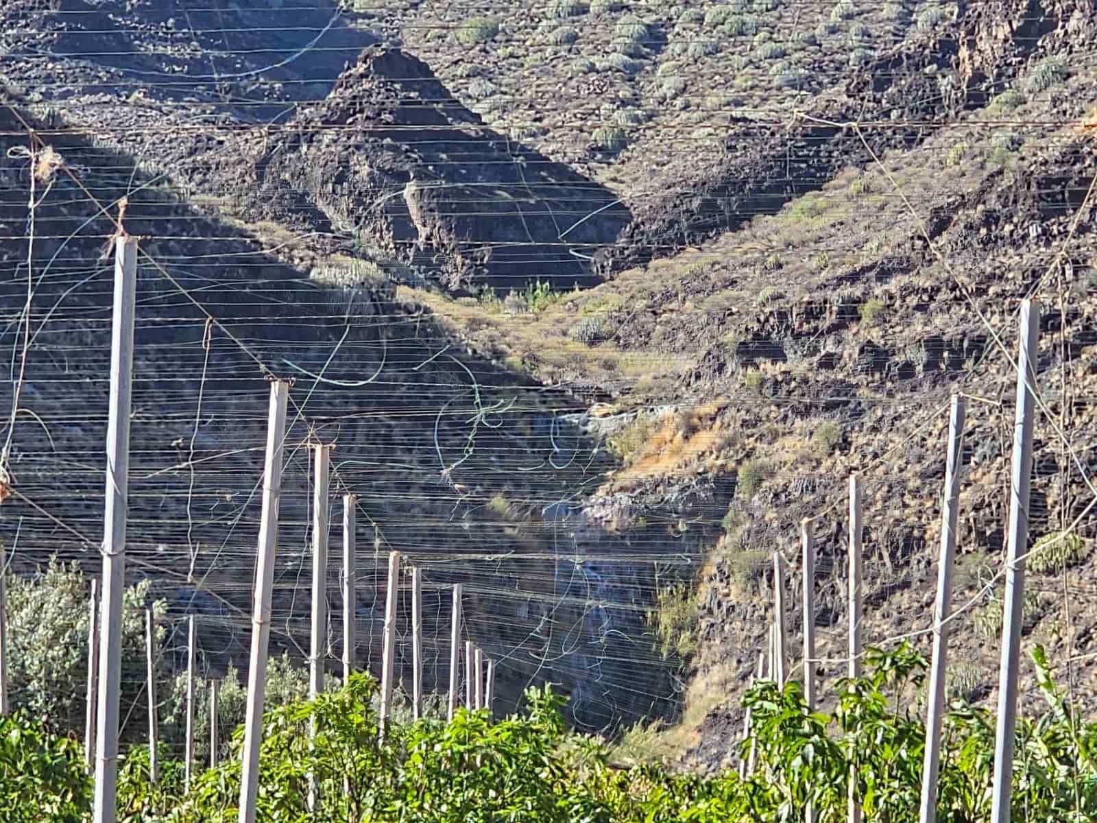 2 bedroom Finca/Country House for sale in La Aldea de San Nicolas with garage - € 900,000 (Ref: 9447146)