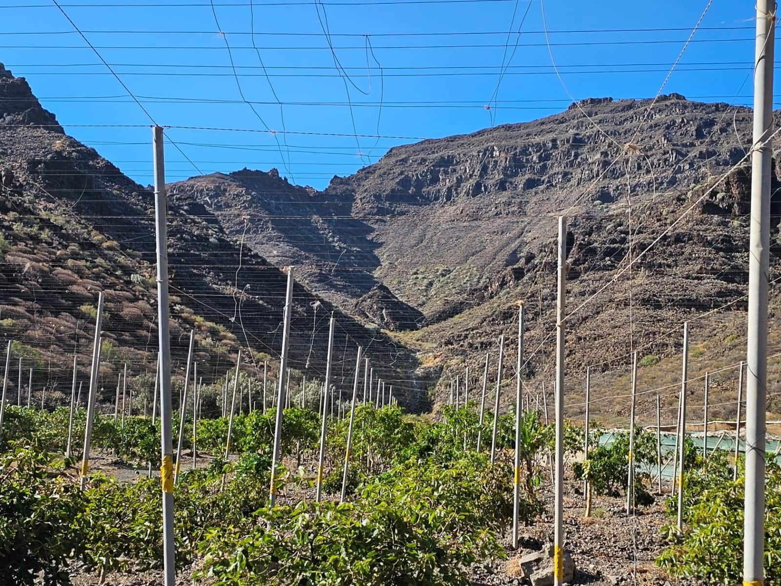 2 bedroom Finca/Country House for sale in La Aldea de San Nicolas with garage - € 900,000 (Ref: 9447146)