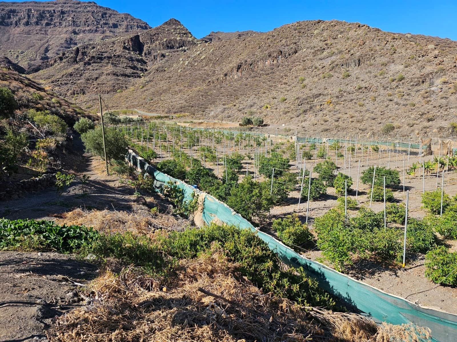 2 bedroom Finca/Country House for sale in La Aldea de San Nicolas with garage - € 900,000 (Ref: 9447146)