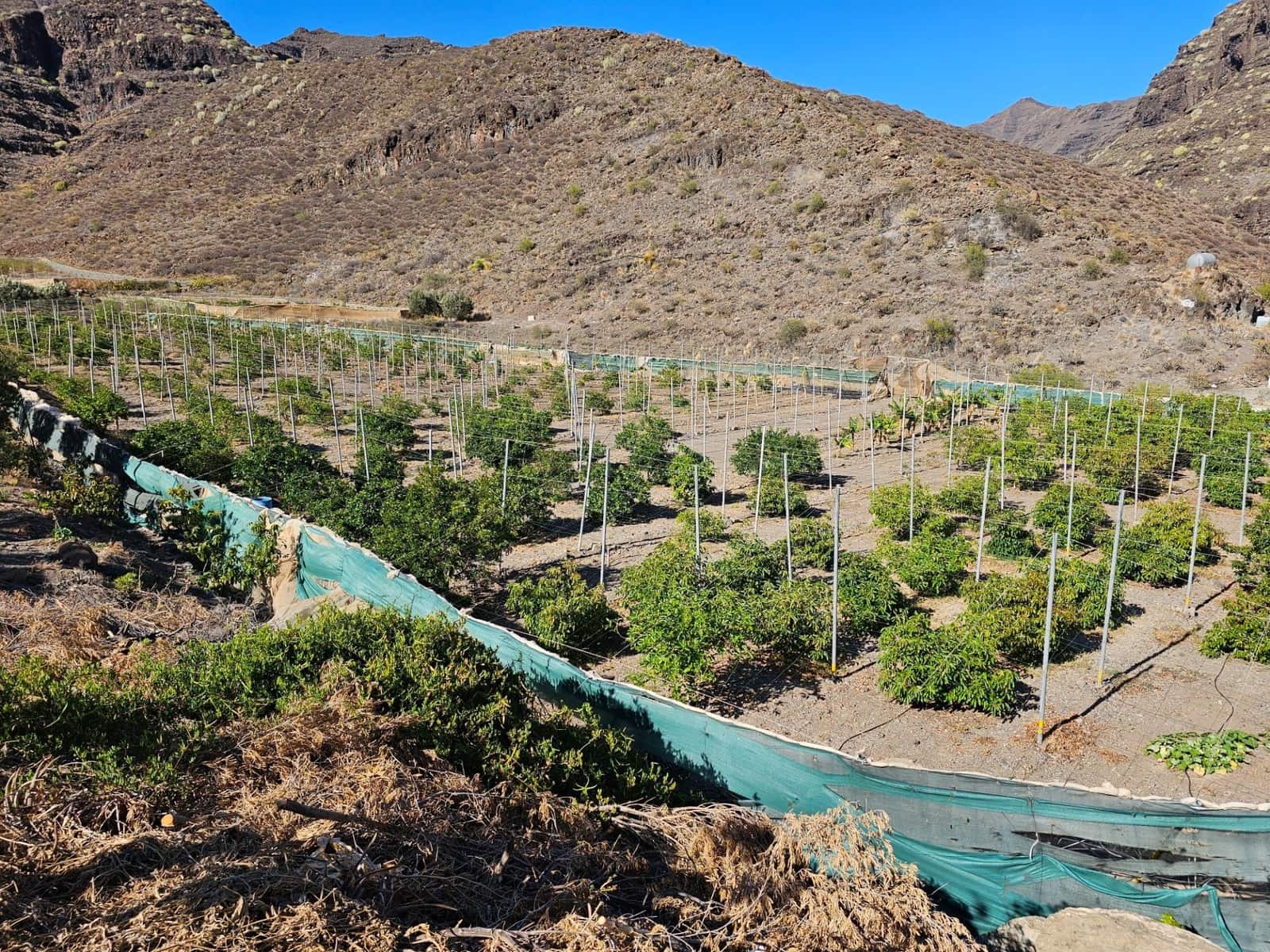 2 bedroom Finca/Country House for sale in La Aldea de San Nicolas with garage - € 900,000 (Ref: 9447146)