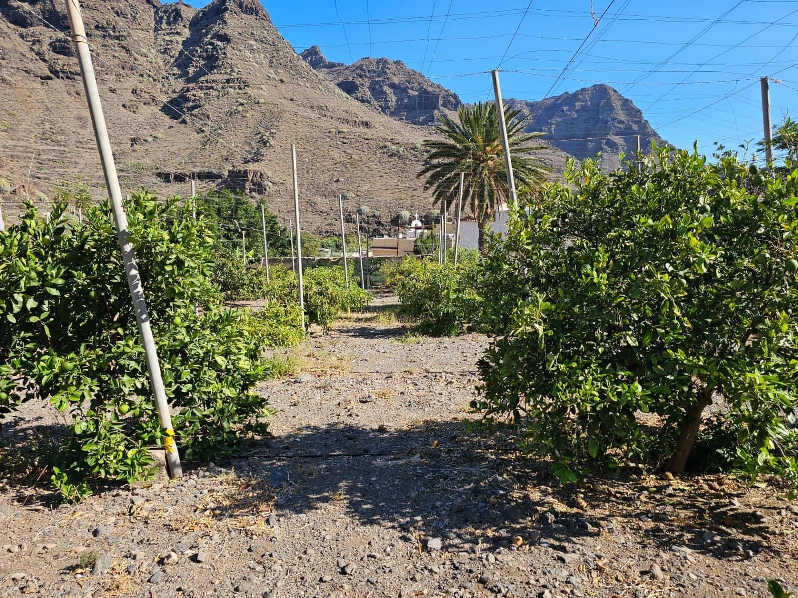 2 bedroom Finca/Country House for sale in La Aldea de San Nicolas with garage - € 900,000 (Ref: 9447146)