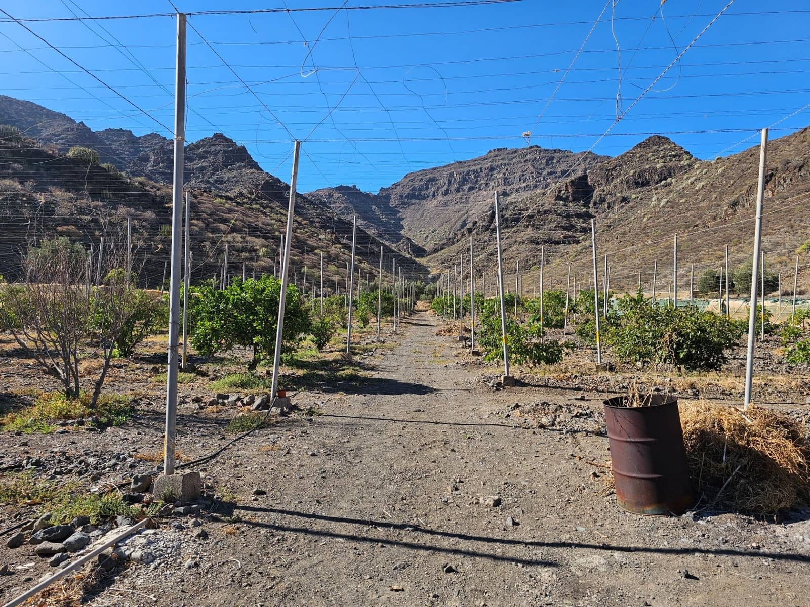 2 bedroom Finca/Country House for sale in La Aldea de San Nicolas with garage - € 900,000 (Ref: 9447146)