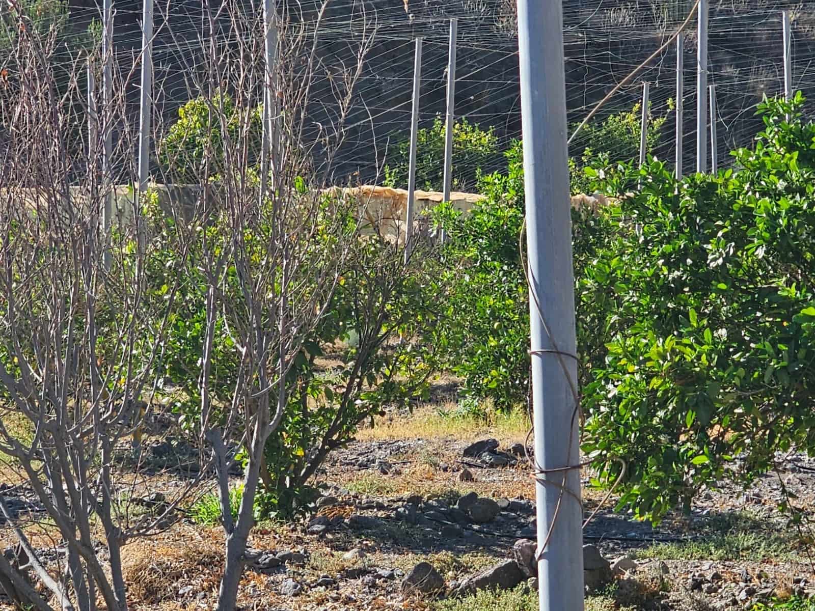 2 bedroom Finca/Country House for sale in La Aldea de San Nicolas with garage - € 900,000 (Ref: 9447146)