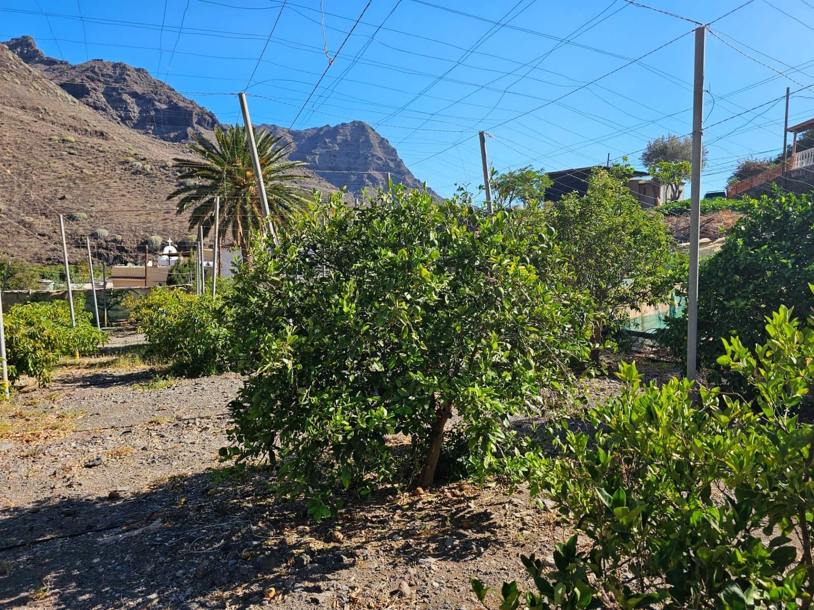 2 bedroom Finca/Country House for sale in La Aldea de San Nicolas with garage - € 900,000 (Ref: 9447146)