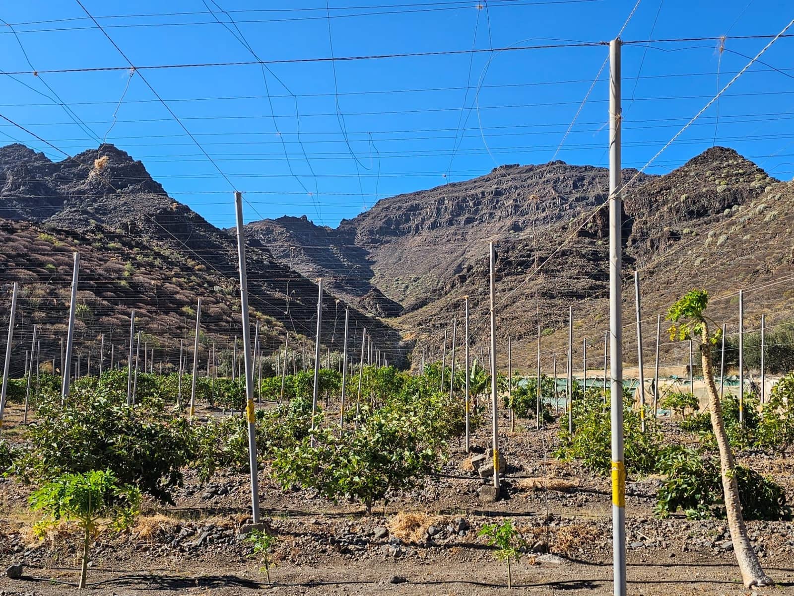 2 bedroom Finca/Country House for sale in La Aldea de San Nicolas with garage - € 900,000 (Ref: 9447146)