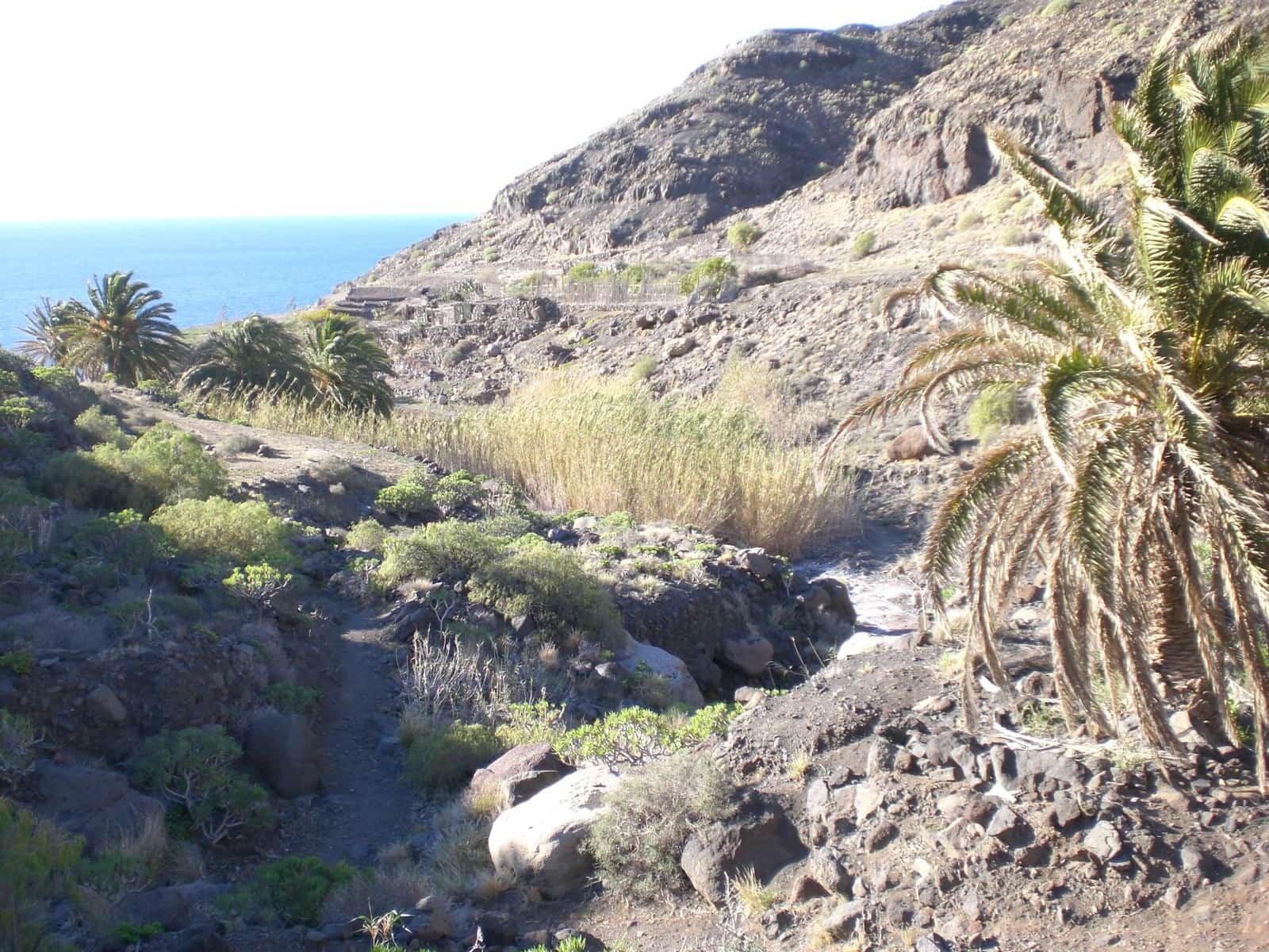 2 bedroom Finca/Country House for sale in La Aldea de San Nicolas with garage - € 900,000 (Ref: 9447146)