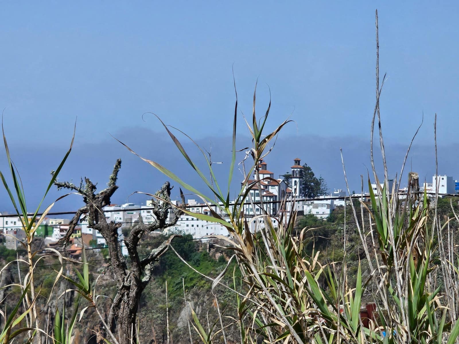 Business for sale in Santa Maria de Guia de Gran Canaria - € 449,000 (Ref: 9447147)