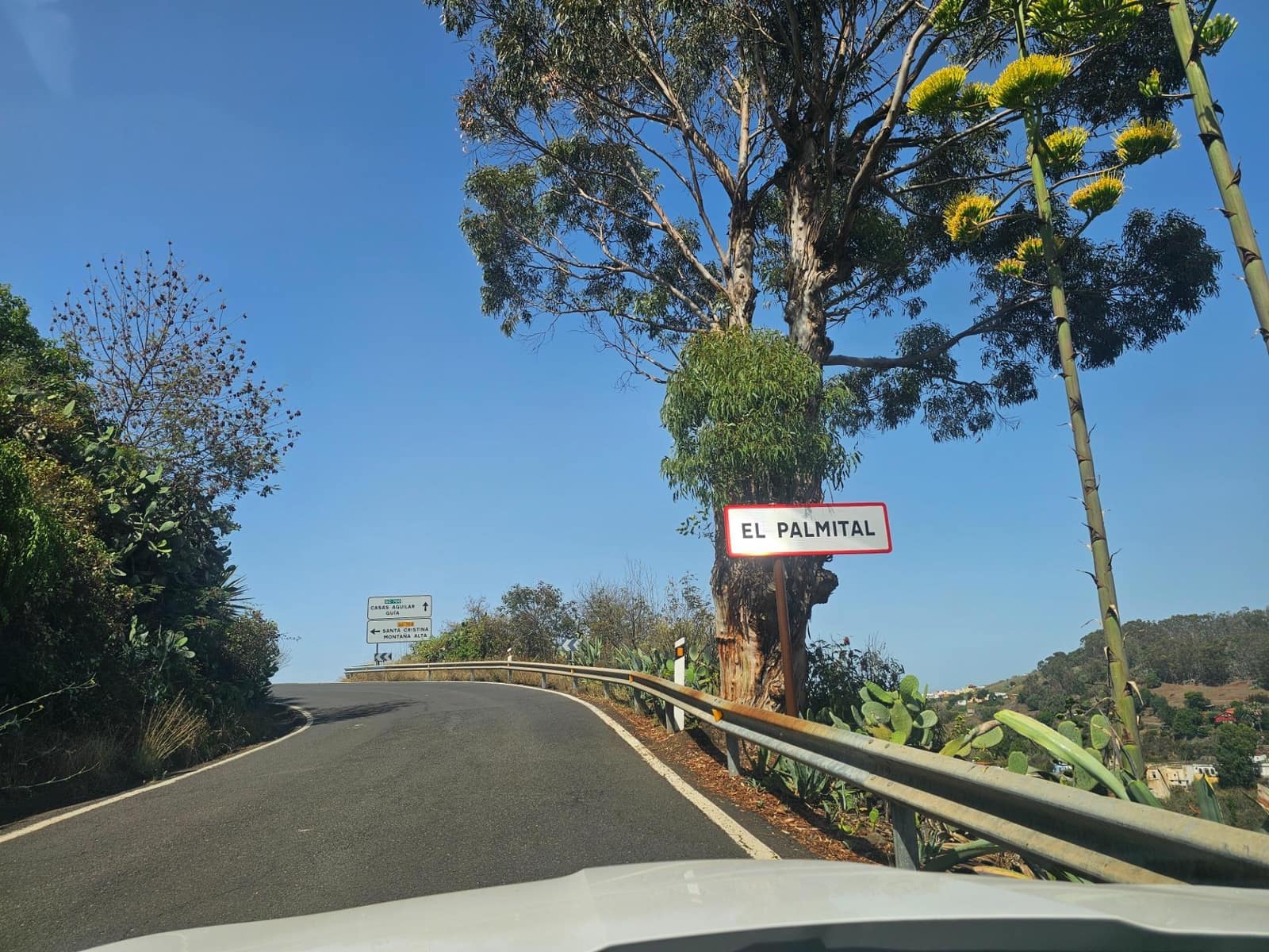 Business for sale in Santa Maria de Guia de Gran Canaria - € 449,000 (Ref: 9447147)