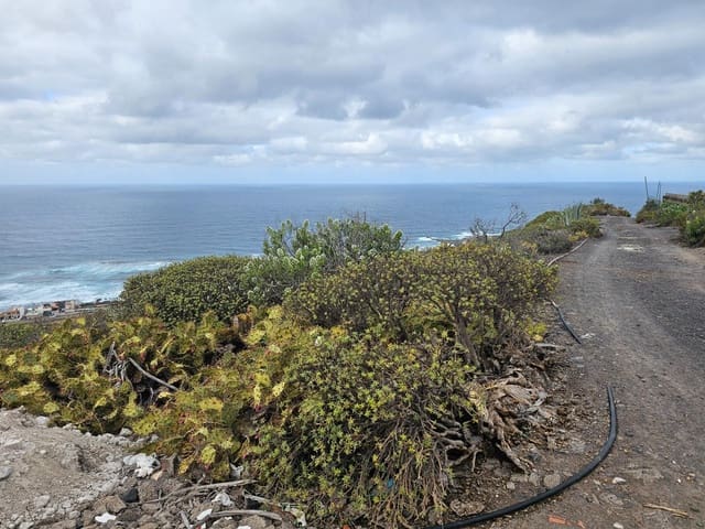 1 sovrum Finca/Hus på landet till salu i Arucas - 195 000 € (Ref: 9447151)