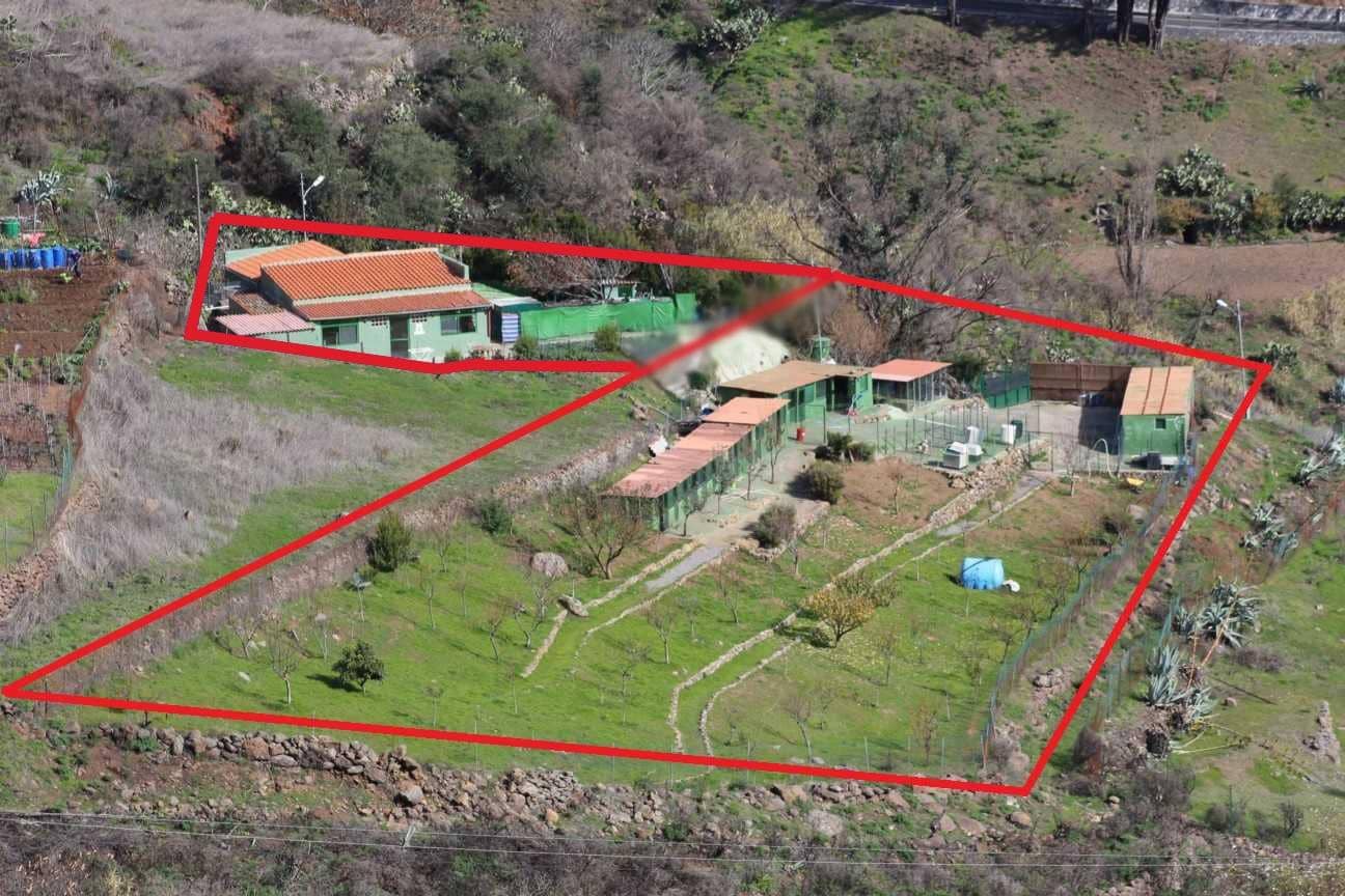 2 camera da letto Finca/Casa di Campagna in vendita in Vega de San Mateo - 320.000 € (Rif: 9447158)