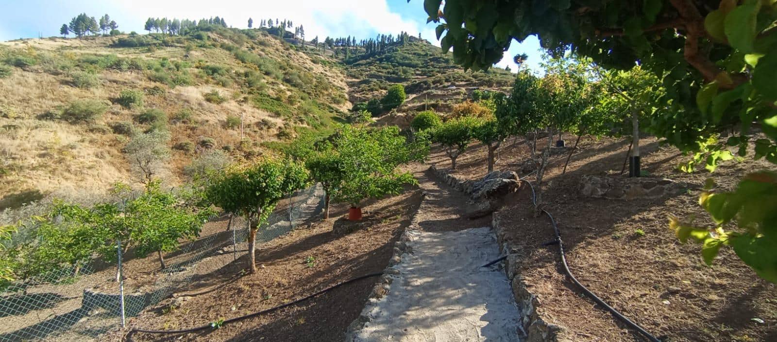 2 camera da letto Finca/Casa di Campagna in vendita in Vega de San Mateo - 320.000 € (Rif: 9447158)