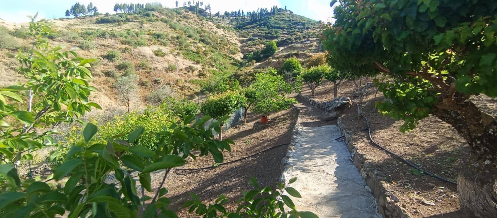 2 camera da letto Finca/Casa di Campagna in vendita in Vega de San Mateo - 320.000 € (Rif: 9447158)