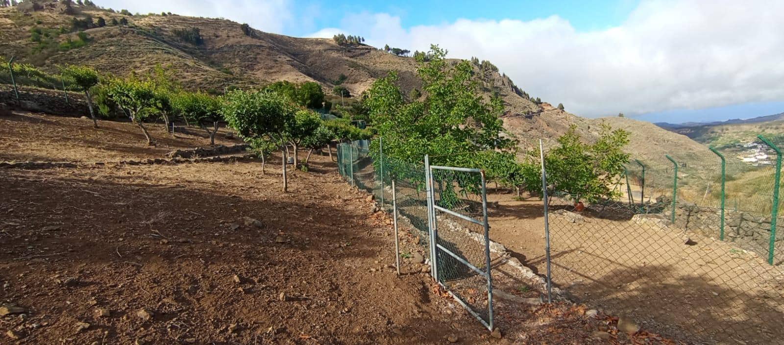 2 camera da letto Finca/Casa di Campagna in vendita in Vega de San Mateo - 320.000 € (Rif: 9447158)