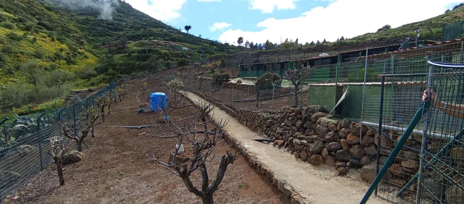 2 camera da letto Finca/Casa di Campagna in vendita in Vega de San Mateo - 320.000 € (Rif: 9447158)