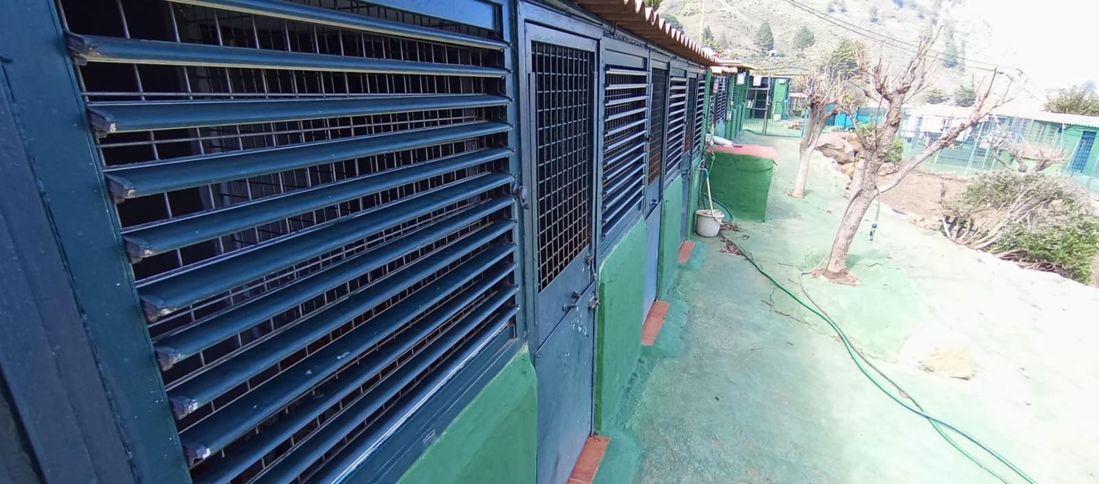 2 camera da letto Finca/Casa di Campagna in vendita in Vega de San Mateo - 320.000 € (Rif: 9447158)