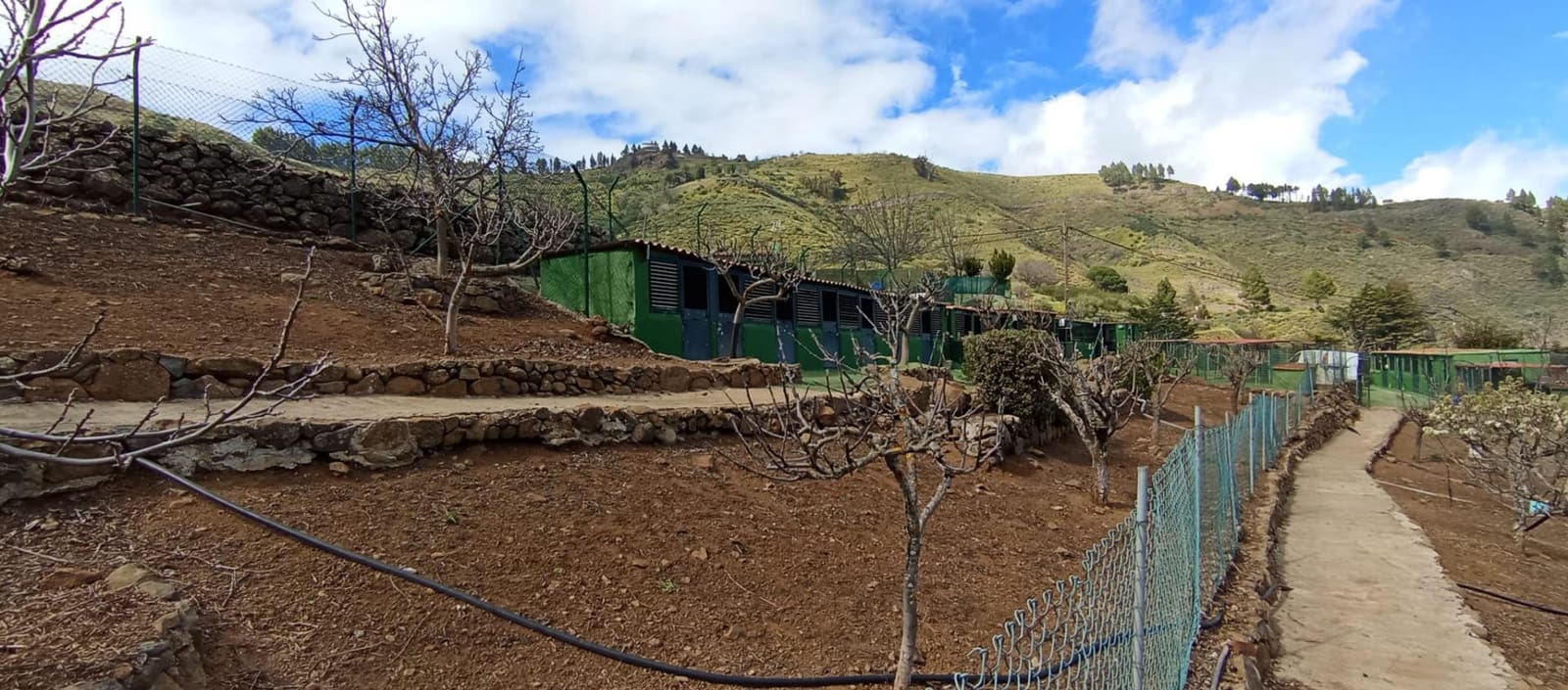 2 camera da letto Finca/Casa di Campagna in vendita in Vega de San Mateo - 320.000 € (Rif: 9447158)