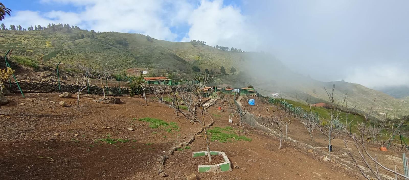 2 camera da letto Finca/Casa di Campagna in vendita in Vega de San Mateo - 320.000 € (Rif: 9447158)