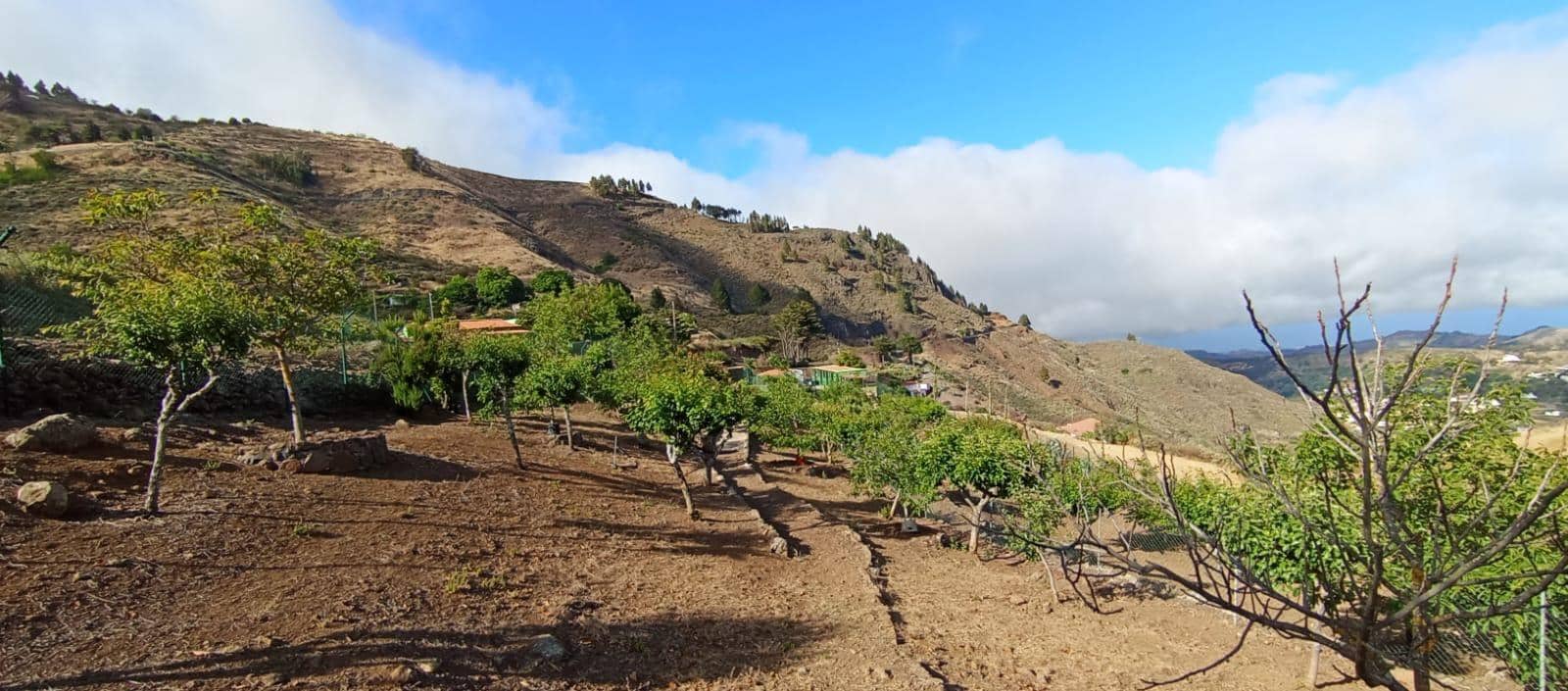 2 camera da letto Finca/Casa di Campagna in vendita in Vega de San Mateo - 320.000 € (Rif: 9447158)